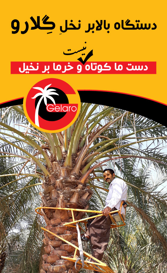 داستان بالابر گلارو
